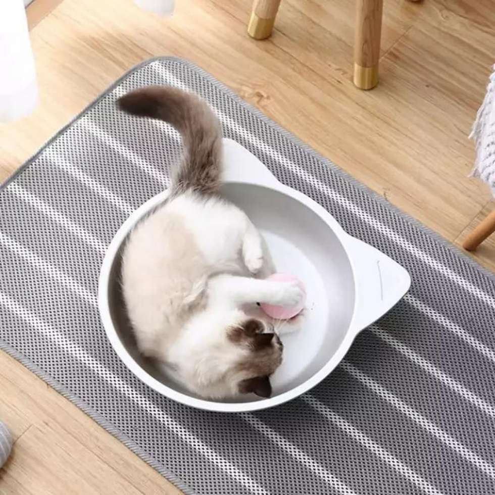 Miniatura: La olla de enfriamiento para gato