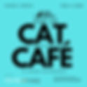 Pop Up Cat Cafe Barranco