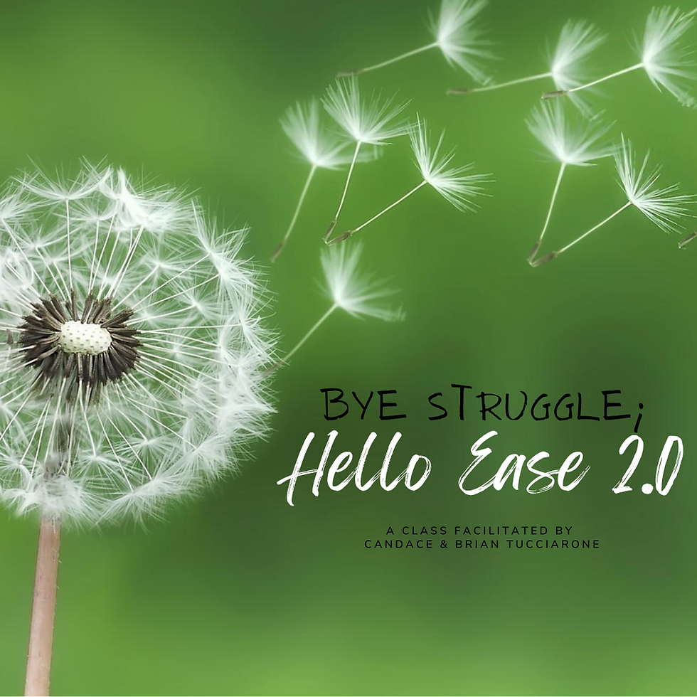 Bye Struggle; Hello Ease 2.0