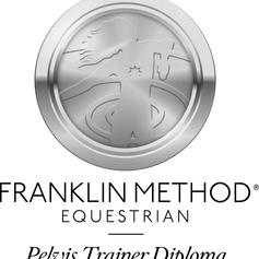 FME-Silver-Pelvis copy.png