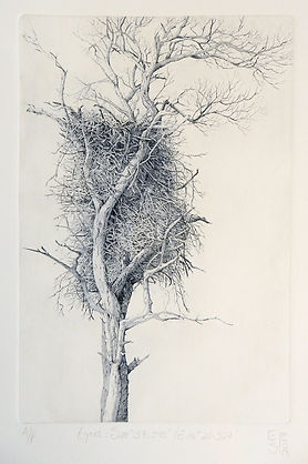 Elmari Steyn | Eyrie | etching and aquatint on archival paper | 20 x 30cm | 2017