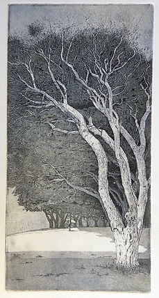Elmari Steyn | Umbra | etching and aquatint on archival paper | 15 x 30cm | 2017