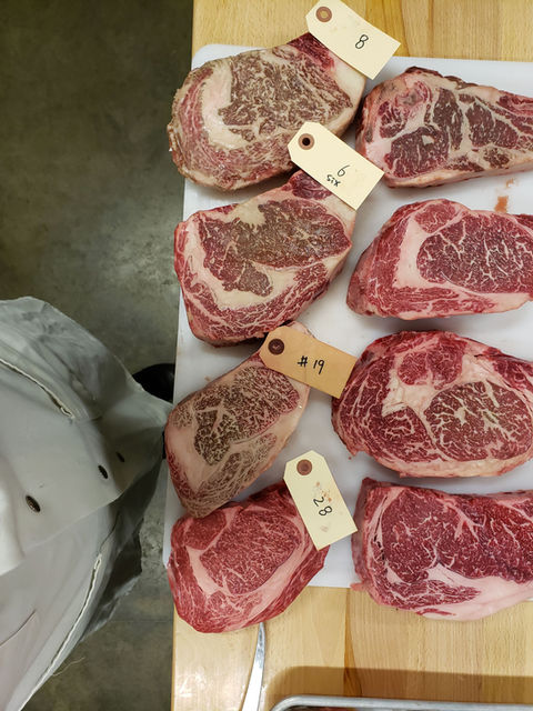 20191016_092135[1].jpg
