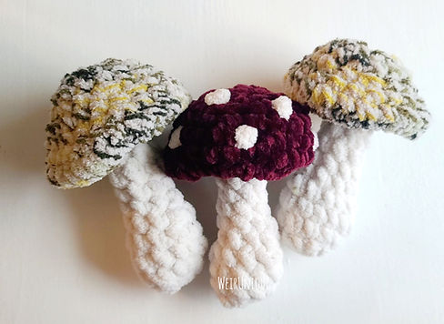 Screenshot 2025-08-20 165215_edited.jpg