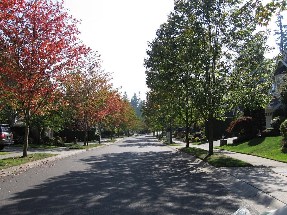 River Crossing Fall.jpg