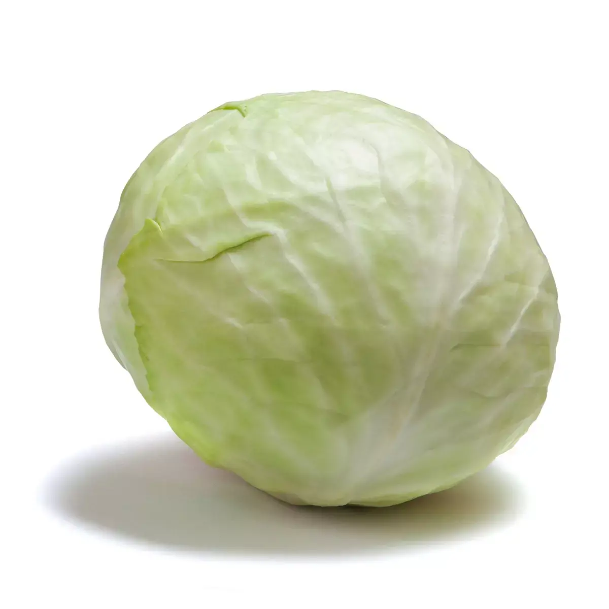 Chou blanc France