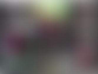 (SOBRE) Audiência Pública Virtual sobre o Auxílio Emergencial do Ciclo Junino de Pernambuco