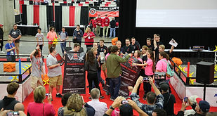 Team 6135F profile picture