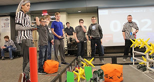 Team 6135F profile picture