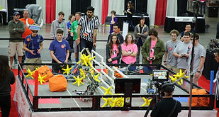 Team 6135F profile picture