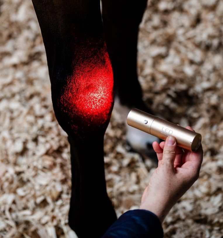 Thumbnail: Horseware® LED Red Light Therapy Wand