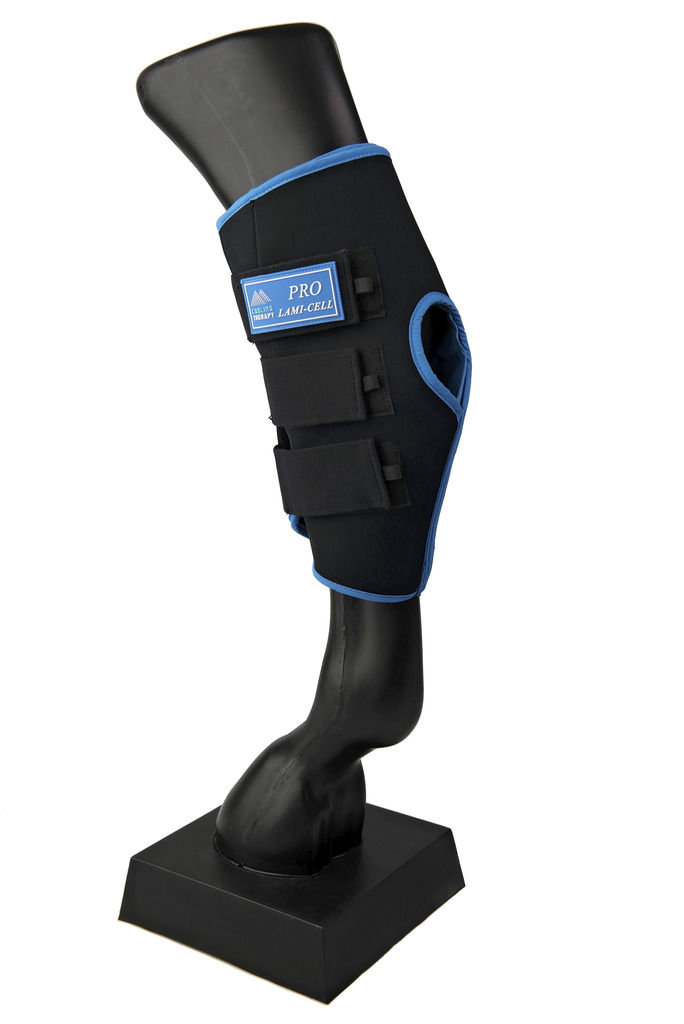 Thumbnail: LAMI-CELL “Ice Boots” hock guards