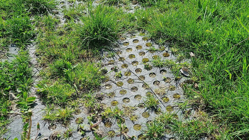 Thumbnail: BELMONDO® Flix - Simple soil stabilazation