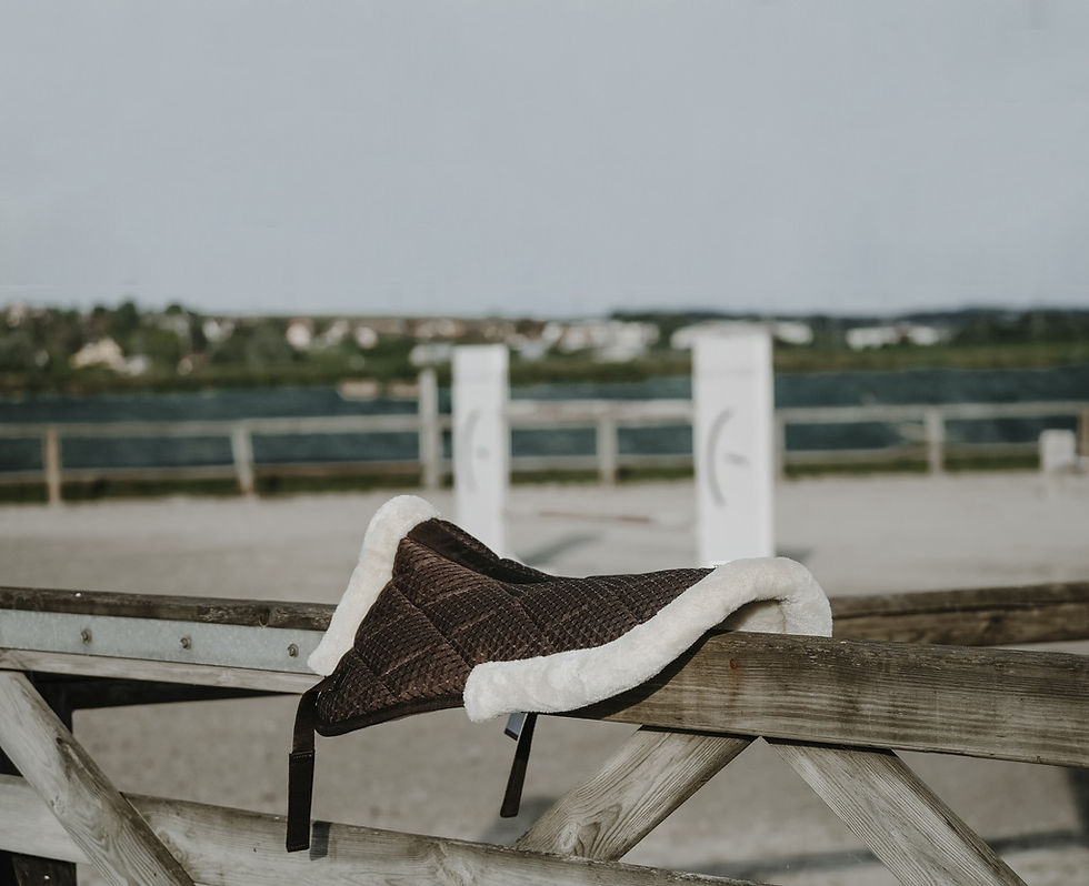 Thumbnail: EQUITHÈME Pro air back Pad