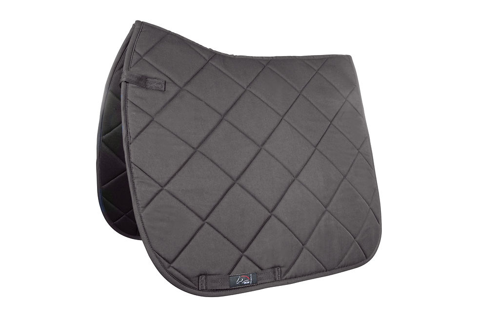 Thumbnail: Saddle cloth -Allround