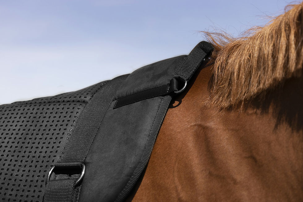 Thumbnail: NORTON "Silicone” Bareback Riding Pad
