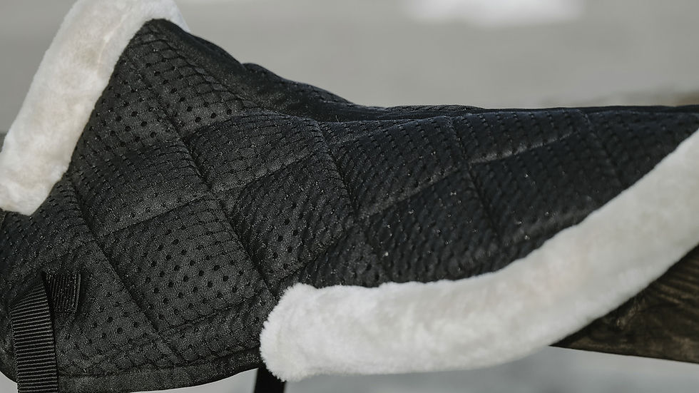 Thumbnail: EQUITHÈME Pro air back Pad