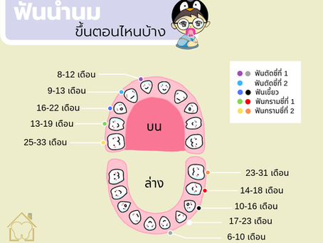 ฟันน้ำนม ฟันแท้จะขึ้นตอนไหน?