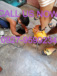 128208326_431433661599222_69936157645360