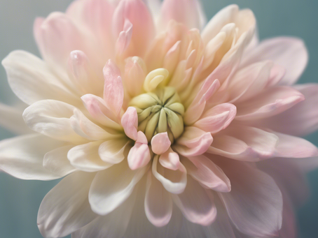 Empowering Birth Experiences: HypnoBirthing Classes and Support