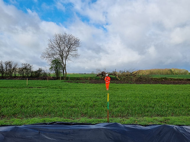 An ecologist using their mobile phone during ECoW works