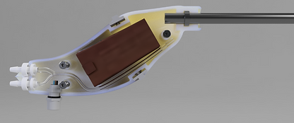 cytoscopeinternalfinalrender.png