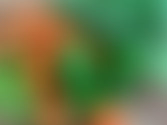 Savoring the Latest Culinary Offerings in Paje, Zanzibar