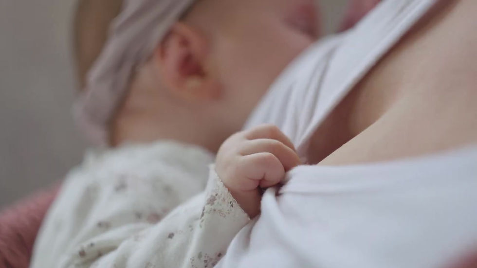 Thumbnail: Haakaa Ladybug Silicone Breast Milk Collector (40ml / 75ml)