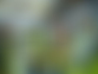 A modern workplace safety scene with staff inside a factory