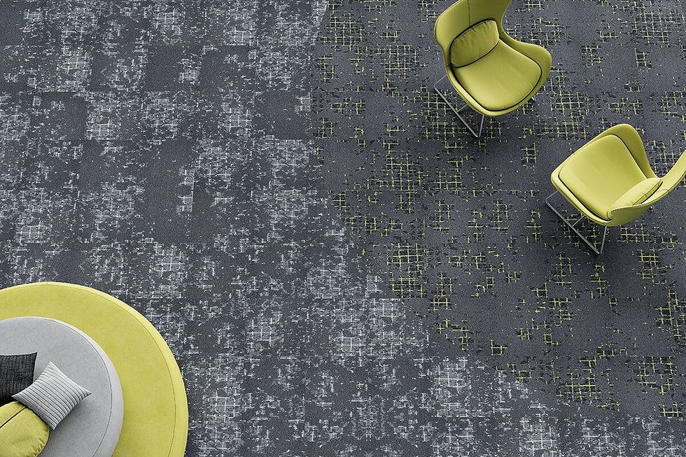 Carpete em Placa - Layout