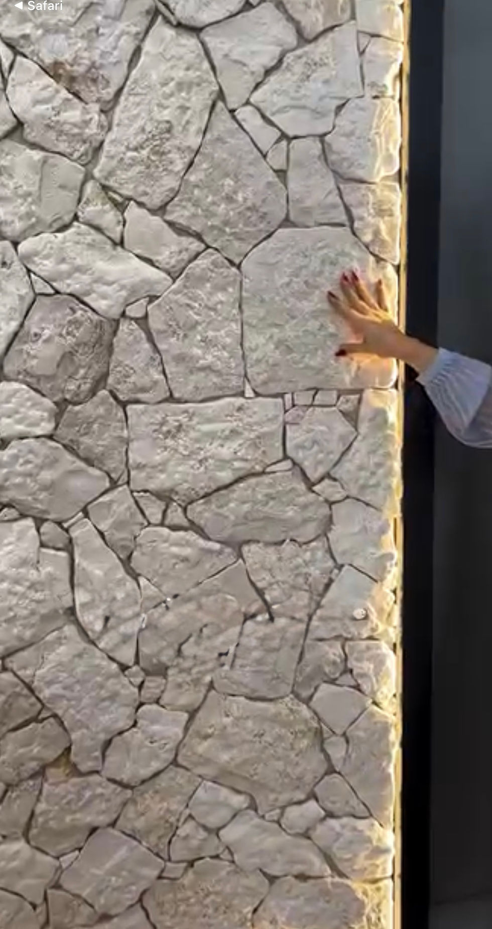 Miniatura: Órbita crema