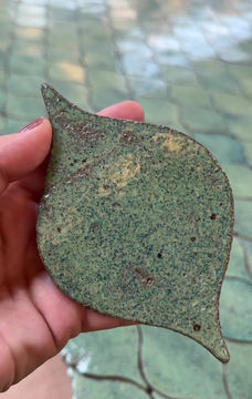 Miniatura: Cerâmica Cotto Ricci Gota
