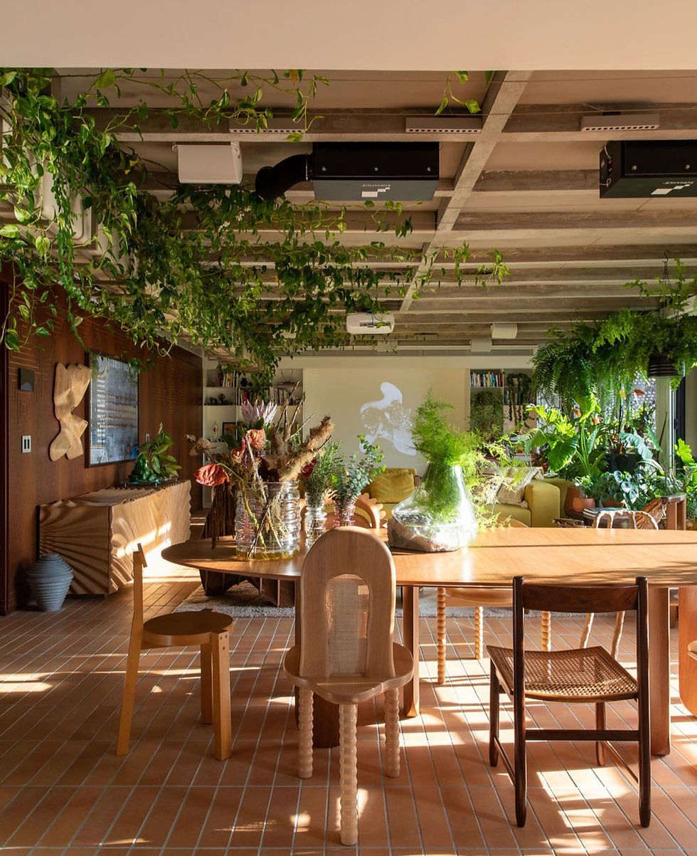 Invecchiatto Paglia Lepri