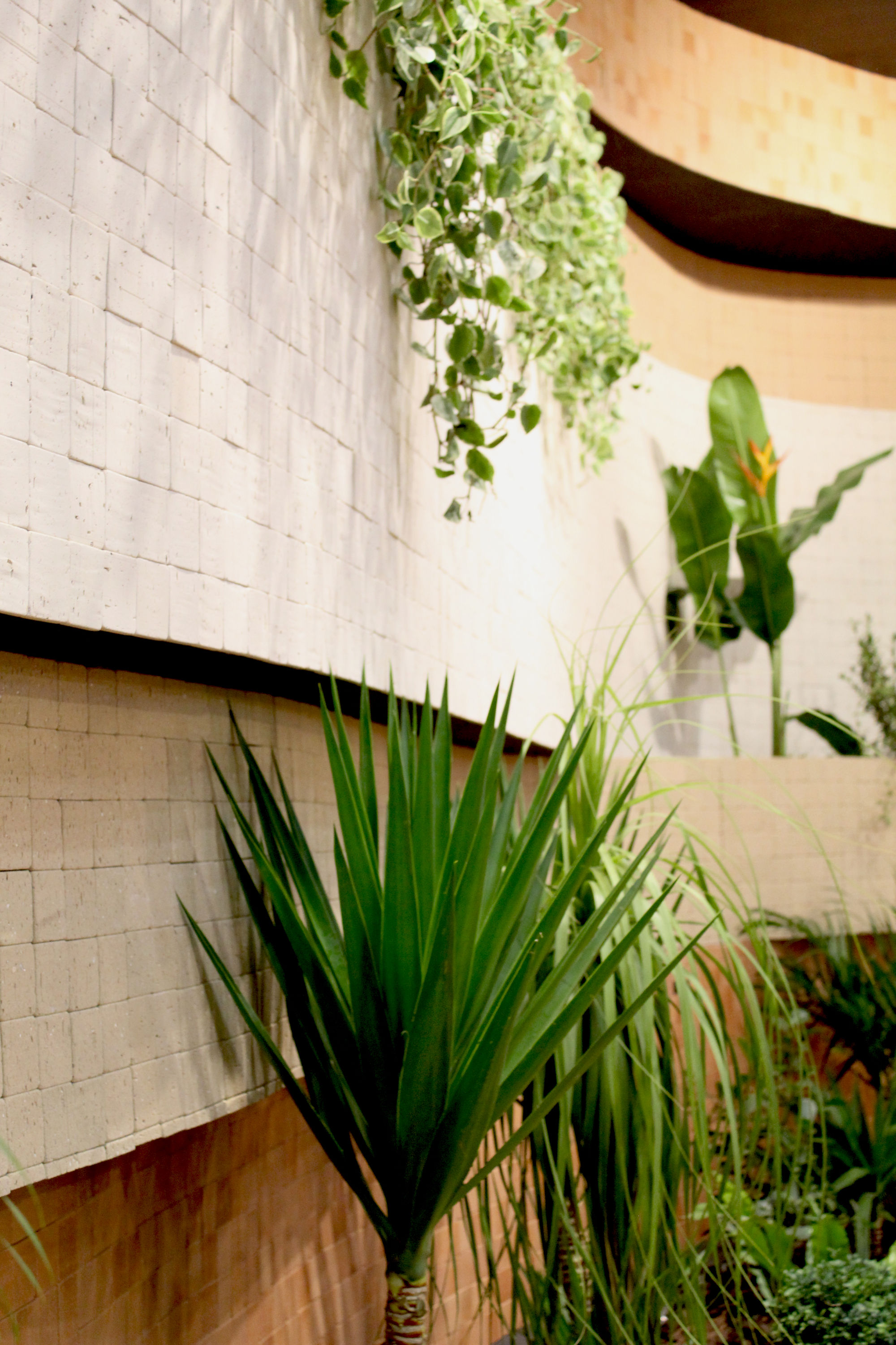 Coleção Olaria Lepri