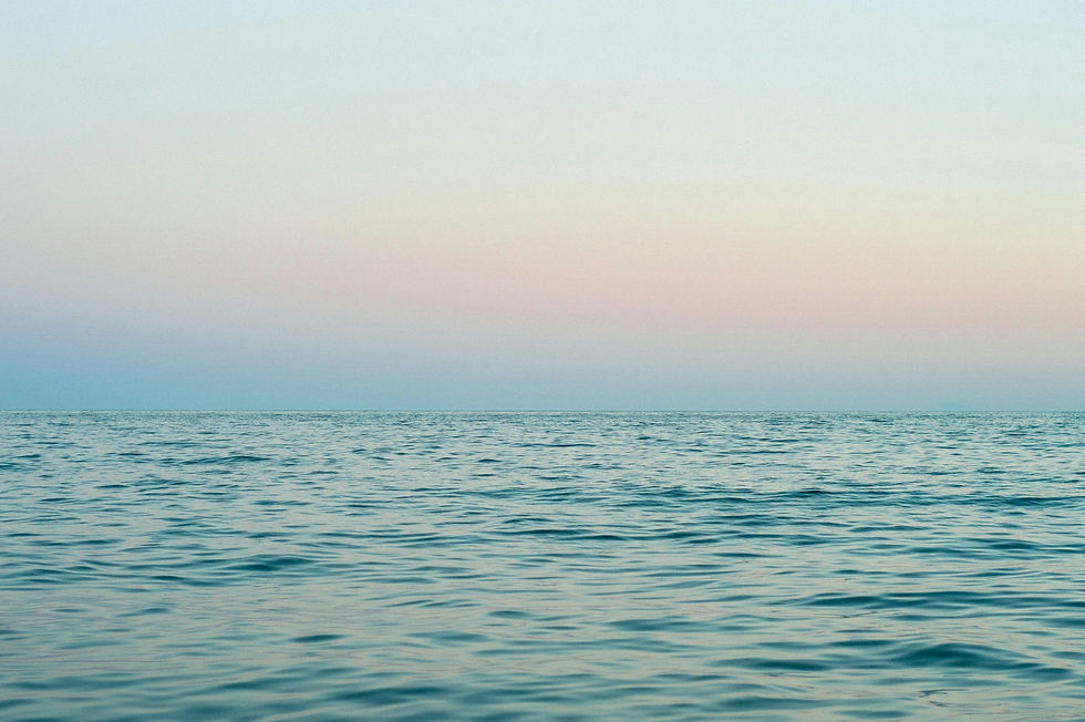 brianda-maldonado-ppqEXDEhJEE-unsplash.jpg