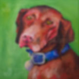 Buddy Boy - Vizsla Dog Portrait - Digital Print