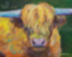 Highland Amelia by Jeanette Johnson