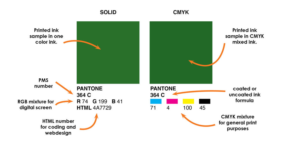 How to Harness The Magical Power of Pantone Colors.