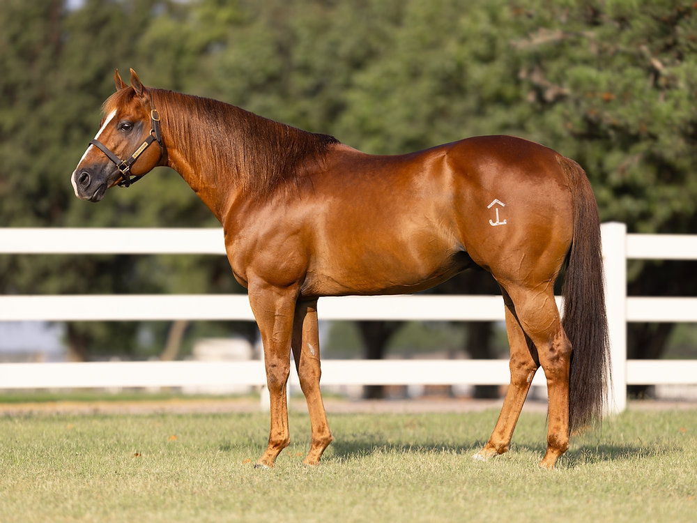 JORDAN DRIVER AND TRHEAVENSILLUMINATED TAKE HOME THE WIN AT THE TEXAN