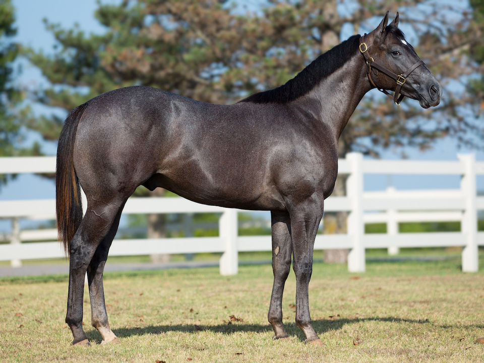 RVR_Heritage Yearlings_2022-11.jpg