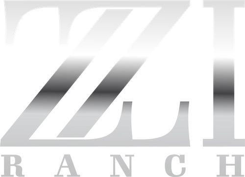 BPT_ZZI Brand_silver.png