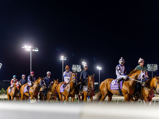 Royal Vista Ranch Stallions Capture 7 of 10 Stakes Races on Final Night of Remington Meet