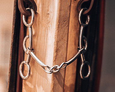 2022-06-16 13.11.24 Large.JPG