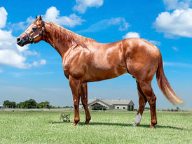 Full Circle: B Cause Im A Hero Stands at Royal Vista Ranch for 2027