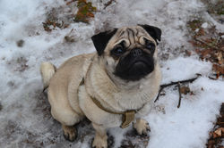 winter