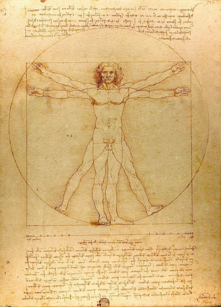Leonardo da Vinci’s Vitruvian Man sketch: nude man in circle and square on aged paper with mirrored handwritten notes