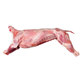B-009 Borrego en Canal Pinado Granja.png