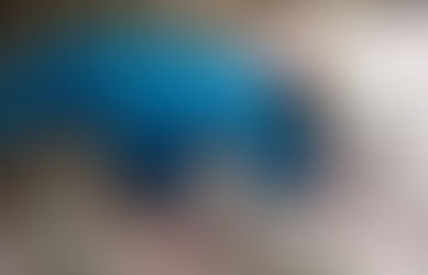 Funding Report: January 2021