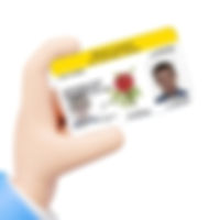 Driver's License