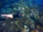 Seychelles Snorkeling
